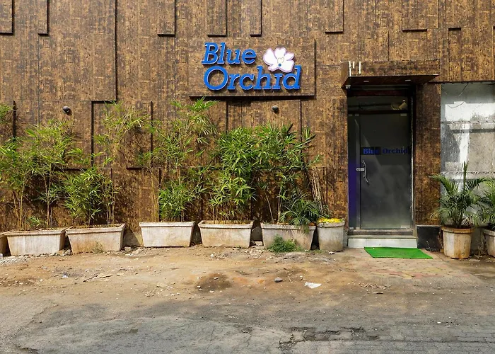 Huisdiervriedelijke Hotel Blue Orchid - Marol Andheri Mumbai 